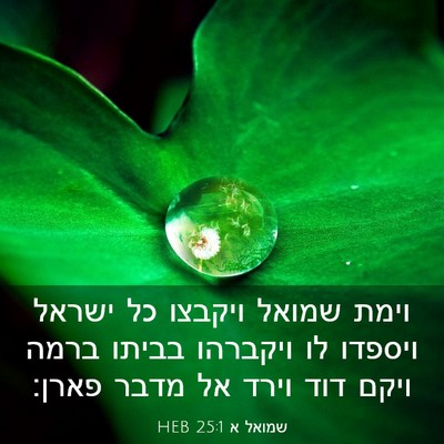 Picture 03 - שמואל א 25:1 HEB - וימת שמואל ויקבצו כל ישראל - Bible Verse Picture