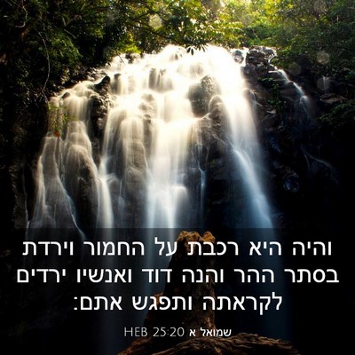 Picture 03 - שמואל א 25:20 HEB - והיה היא רכבת על החמור - Bible Verse Picture