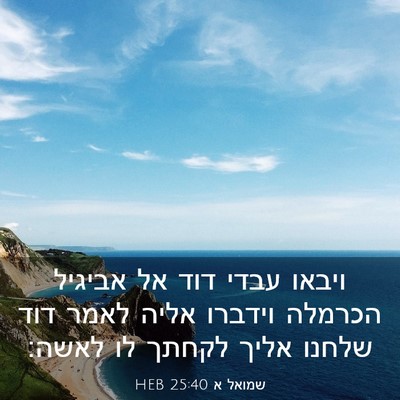 Picture 03 - שמואל א 25:40 HEB - ויבאו עבדי דוד אל אביגיל - Bible Verse Picture