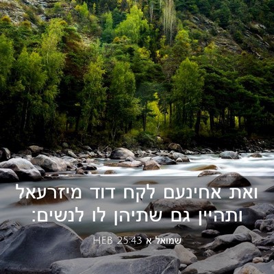 Picture 03 - שמואל א 25:43 HEB - ואת אחינעם לקח דוד מיזרעאל - Bible Verse Picture