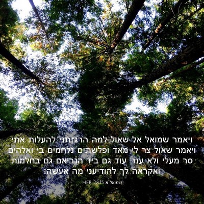 Picture 03 - שמואל א 28:15 HEB - ויאמר שמואל אל שאול למה - Bible Verse Picture