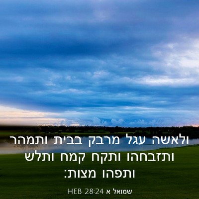Picture 03 - שמואל א 28:24 HEB - ולאשה עגל מרבק בבית ותמהר - Bible Verse Picture