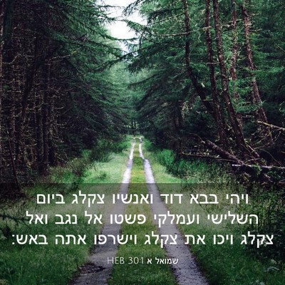 Picture 03 - שמואל א 30:1 HEB - ויהי בבא דוד ואנשיו צקלג - Bible Verse Picture