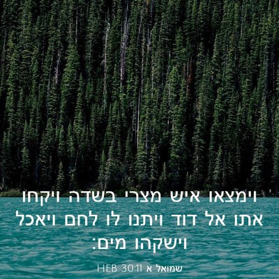 Picture 03 - שמואל א 30:11 HEB - וימצאו איש מצרי בשדה ויקחו - Bible Verse Picture