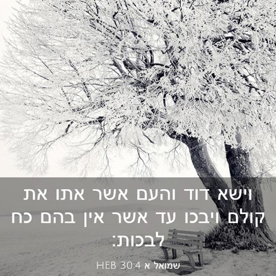 Picture 03 - שמואל א 30:4 HEB - וישא דוד והעם אשר אתו את - Bible Verse Picture