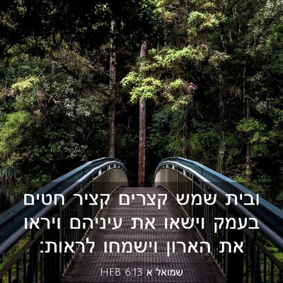 Picture 03 - שמואל א 6:13 HEB - ובית שמש קצרים קציר חטים - Bible Verse Picture