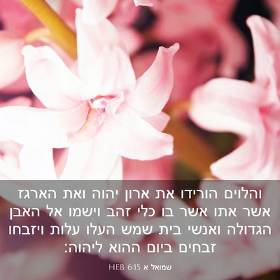Picture 03 - שמואל א 6:15 HEB - והלוים הורידו את ארון יהוה - Bible Verse Picture