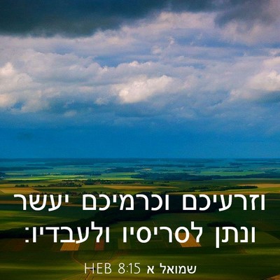 Picture 03 - שמואל א 8:15 HEB - וזרעיכם וכרמיכם יעשר ונתן - Bible Verse Picture