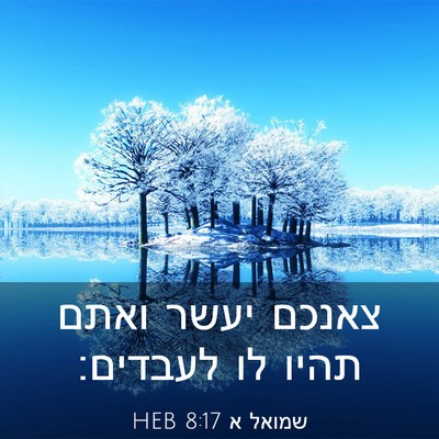 Picture 03 - שמואל א 8:17 HEB - צאנכם יעשר ואתם תהיו לו - Bible Verse Picture