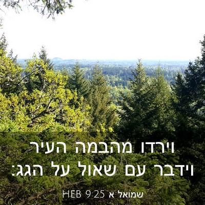 Picture 03 - שמואל א 9:25 HEB - וירדו מהבמה העיר וידבר עם - Bible Verse Picture