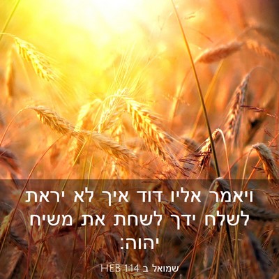 Picture 03 - שמואל ב 1:14 HEB - ויאמר אליו דוד איך לא יראת - Bible Verse Picture