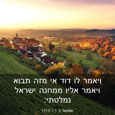 Picture 03 - שמואל ב 1:3 HEB - ויאמר לו דוד אי מזה תבוא - Bible Verse Picture