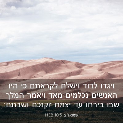 Picture 03 - שמואל ב 10:5 HEB - ויגדו לדוד וישלח לקראתם כי - Bible Verse Picture