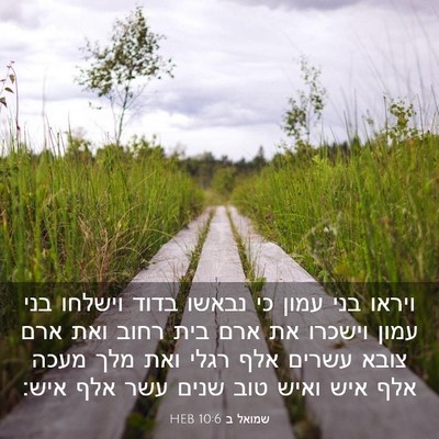 Picture 03 - שמואל ב 10:6 HEB - ויראו בני עמון כי נבאשו - Bible Verse Picture