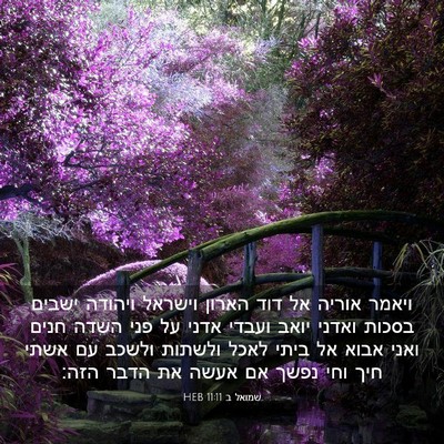 Picture 03 - שמואל ב 11:11 HEB - ויאמר אוריה אל דוד הארון - Bible Verse Picture