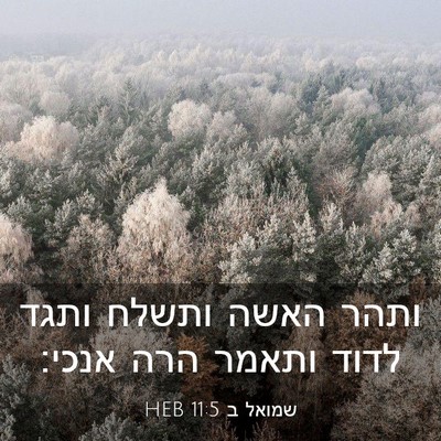 Picture 03 - שמואל ב 11:5 HEB - ותהר האשה ותשלח ותגד לדוד - Bible Verse Picture