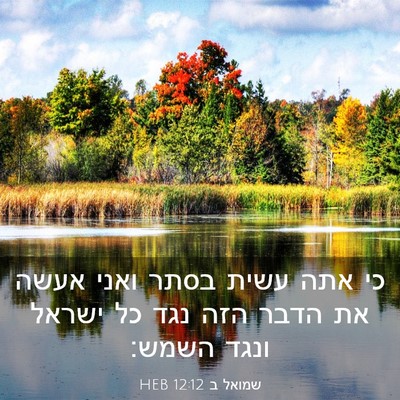 Picture 03 - שמואל ב 12:12 HEB - כי אתה עשית בסתר ואני אעשה - Bible Verse Picture