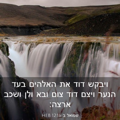 Picture 03 - שמואל ב 12:16 HEB - ויבקש דוד את האלהים בעד - Bible Verse Picture