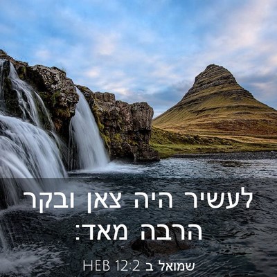 Picture 03 - שמואל ב 12:2 HEB - לעשיר היה צאן ובקר הרבה - Bible Verse Picture