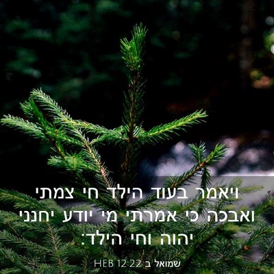 Picture 03 - שמואל ב 12:22 HEB - ויאמר בעוד הילד חי צמתי - Bible Verse Picture