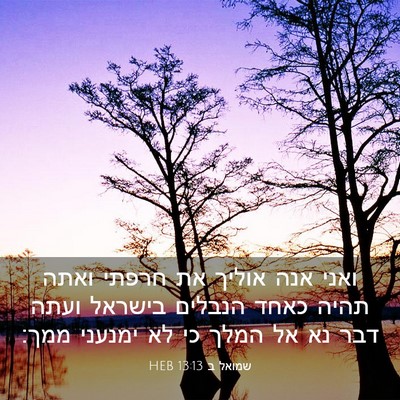 Picture 03 - שמואל ב 13:13 HEB - ואני אנה אוליך את חרפתי - Bible Verse Picture
