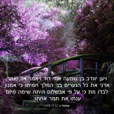 Picture 03 - שמואל ב 13:32 HEB - ויען יונדב בן שמעה אחי דוד - Bible Verse Picture