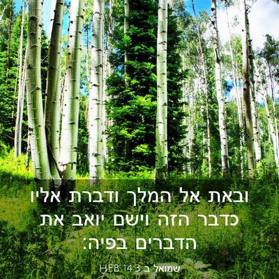 Picture 03 - שמואל ב 14:3 HEB - ובאת אל המלך ודברת אליו - Bible Verse Picture