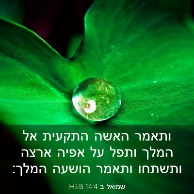 Picture 03 - שמואל ב 14:4 HEB - ותאמר האשה התקעית אל המלך - Bible Verse Picture