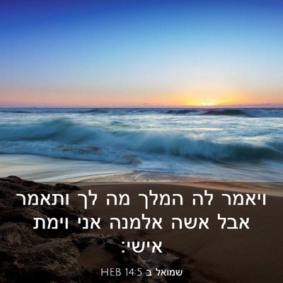 Picture 03 - שמואל ב 14:5 HEB - ויאמר לה המלך מה לך ותאמר - Bible Verse Picture