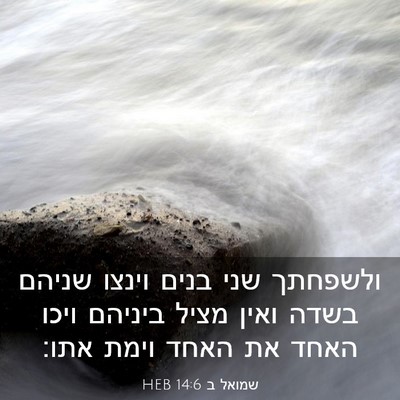 Picture 03 - שמואל ב 14:6 HEB - ולשפחתך שני בנים וינצו - Bible Verse Picture