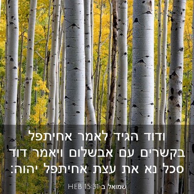 Picture 03 - שמואל ב 15:31 HEB - ודוד הגיד לאמר אחיתפל - Bible Verse Picture