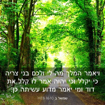 Picture 03 - שמואל ב 16:10 HEB - ויאמר המלך מה לי ולכם בני - Bible Verse Picture
