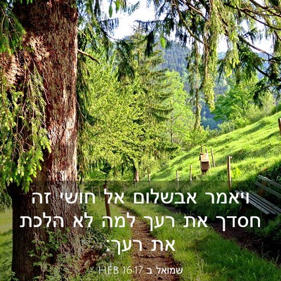 Picture 03 - שמואל ב 16:17 HEB - ויאמר אבשלום אל חושי זה - Bible Verse Picture
