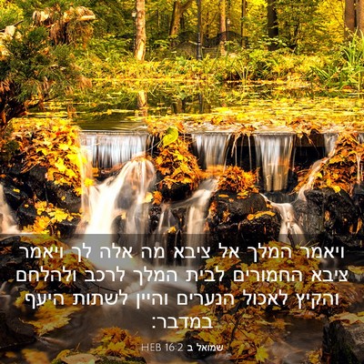 Picture 03 - שמואל ב 16:2 HEB - ויאמר המלך אל ציבא מה אלה - Bible Verse Picture