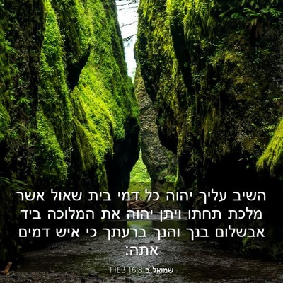 Picture 03 - שמואל ב 16:8 HEB - השיב עליך יהוה כל דמי בית - Bible Verse Picture