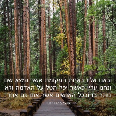 Picture 03 - שמואל ב 17:12 HEB - ובאנו אליו באחת המקומת אשר - Bible Verse Picture