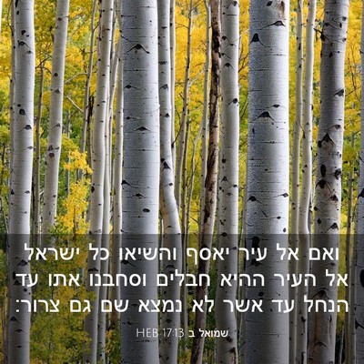 Picture 03 - שמואל ב 17:13 HEB - ואם אל עיר יאסף והשיאו כל - Bible Verse Picture