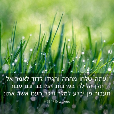 Picture 03 - שמואל ב 17:16 HEB - ועתה שלחו מהרה והגידו לדוד - Bible Verse Picture