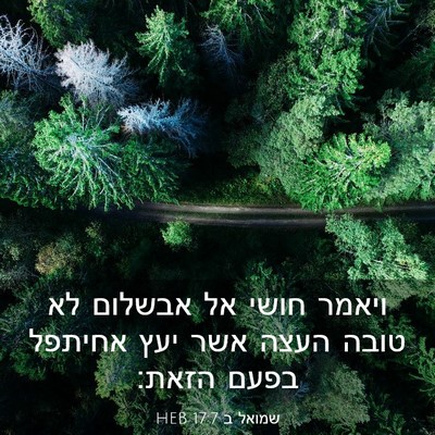 Picture 03 - שמואל ב 17:7 HEB - ויאמר חושי אל אבשלום לא - Bible Verse Picture