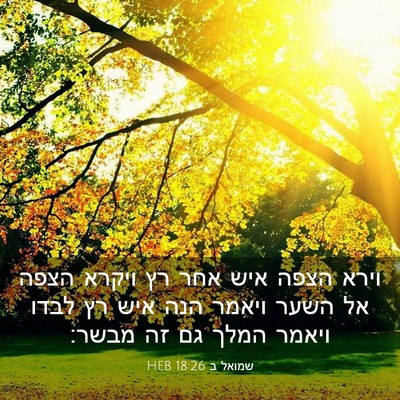 Picture 03 - שמואל ב 18:26 HEB - וירא הצפה איש אחר רץ ויקרא - Bible Verse Picture