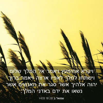 Picture 03 - שמואל ב 18:28 HEB - ויקרא אחימעץ ויאמר אל המלך - Bible Verse Picture