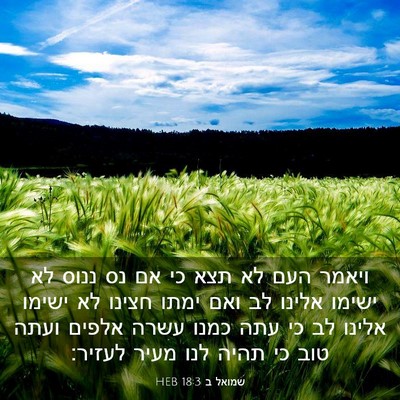 Picture 03 - שמואל ב 18:3 HEB - ויאמר העם לא תצא כי אם נס - Bible Verse Picture