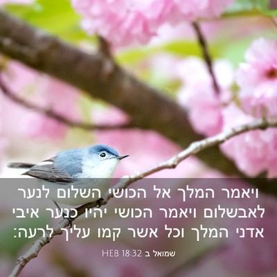 Picture 03 - שמואל ב 18:32 HEB - ויאמר המלך אל הכושי השלום - Bible Verse Picture