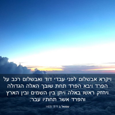 Picture 03 - שמואל ב 18:9 HEB - ויקרא אבשלום לפני עבדי דוד - Bible Verse Picture
