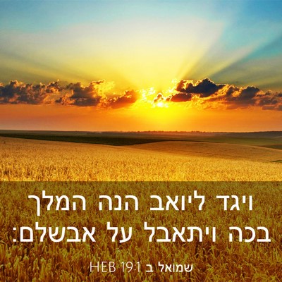 Picture 03 - שמואל ב 19:1 HEB - ויגד ליואב הנה המלך בכה - Bible Verse Picture