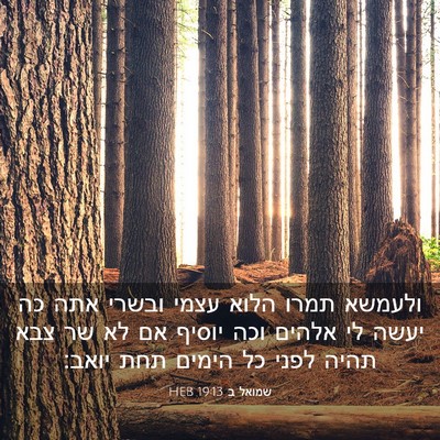 Picture 03 - שמואל ב 19:13 HEB - ולעמשא תמרו הלוא עצמי - Bible Verse Picture