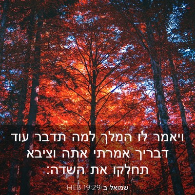 Picture 03 - שמואל ב 19:29 HEB - ויאמר לו המלך למה תדבר עוד - Bible Verse Picture