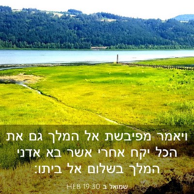Picture 03 - שמואל ב 19:30 HEB - ויאמר מפיבשת אל המלך גם את - Bible Verse Picture
