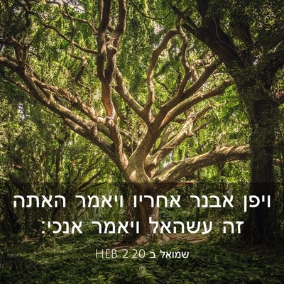 Picture 03 - שמואל ב 2:20 HEB - ויפן אבנר אחריו ויאמר האתה - Bible Verse Picture