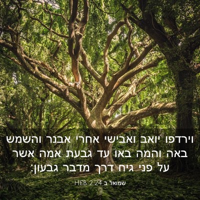 Picture 03 - שמואל ב 2:24 HEB - וירדפו יואב ואבישי אחרי - Bible Verse Picture